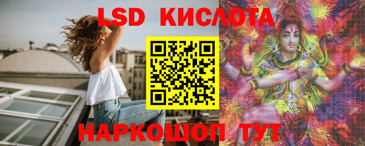 Богданович  Марки N-bome 1,5мг  Вход с VPN 