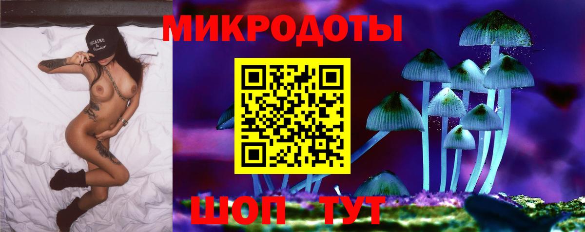 Богданович  Галлюциногенные грибы ЛСД  наркота  Вход с VPN 